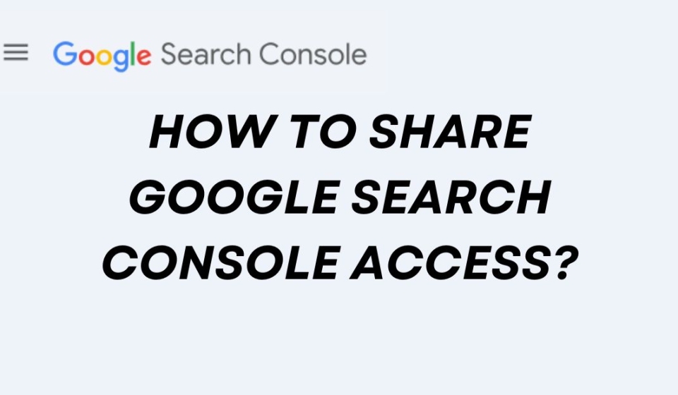 How to share google search console access?