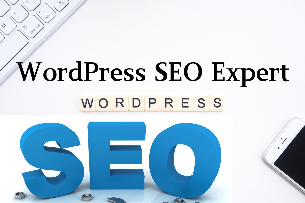 WordPress SEO Expert